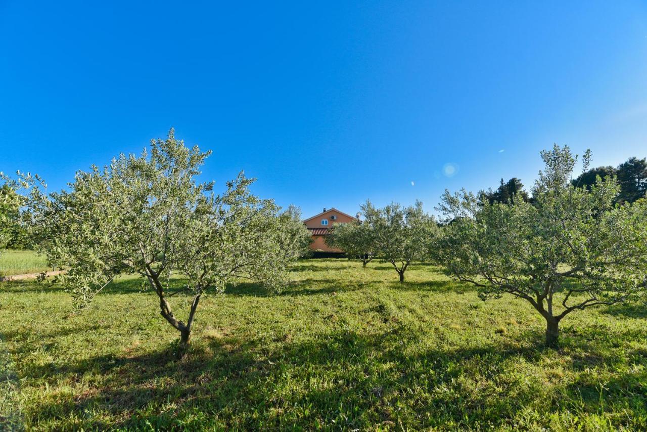 Holiday Home Taras Smilcic Dış mekan fotoğraf