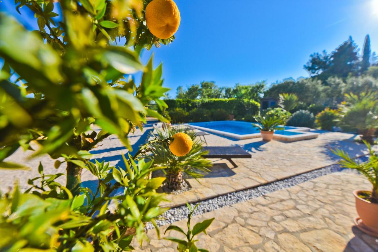 Holiday Home Taras Smilcic Dış mekan fotoğraf